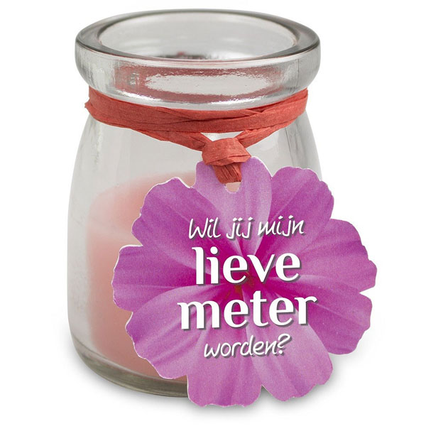 lieve meter