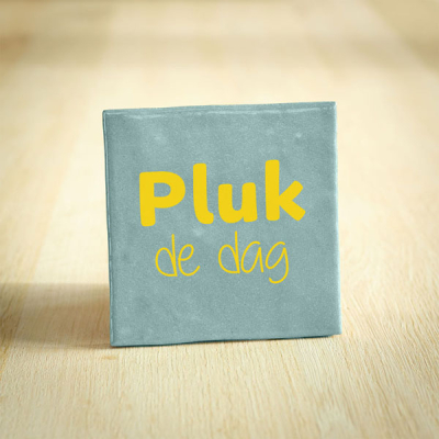 Pluk de dag