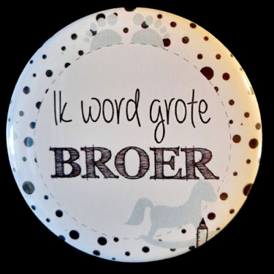 Ik word grote broer of zus