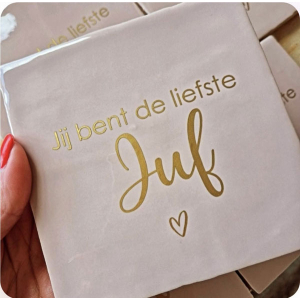 Tegeltje jij bent de liefste juf in meerdere kleuren