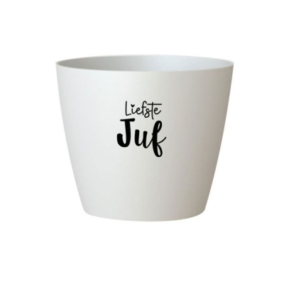 Bloempotje liefste juf wit Bloempotje liefste juf wit