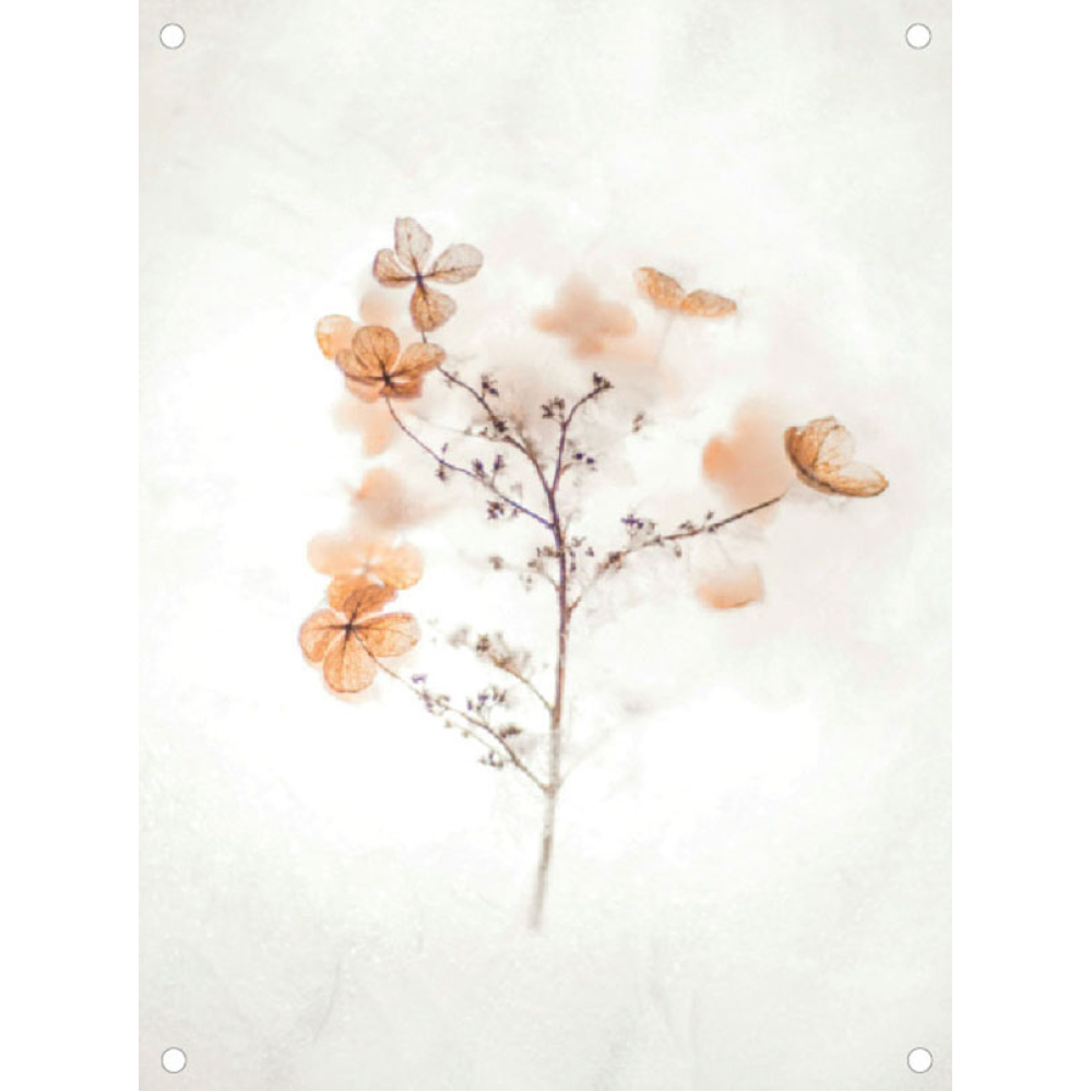 Tuinposter tekening droogbloemen