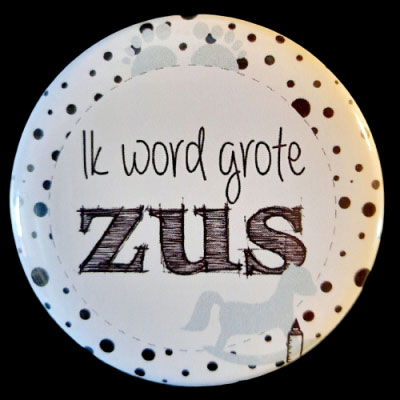 Button ik word grote zus en broer Button ik word grote zus en broer