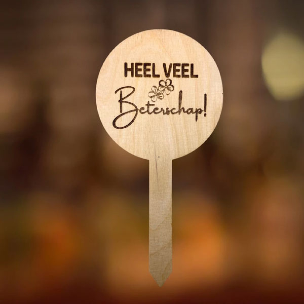 Houten plantensteker heel veel beterschap