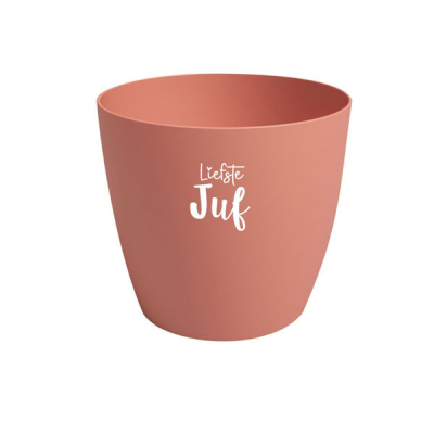 Bloempotje liefste juf pink Bloempotje liefste juf pink