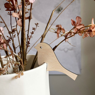 Pin on bird Pin on bird