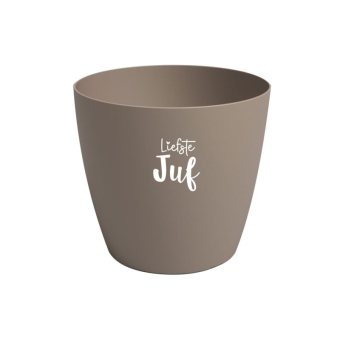 Bloempotje liefste juf