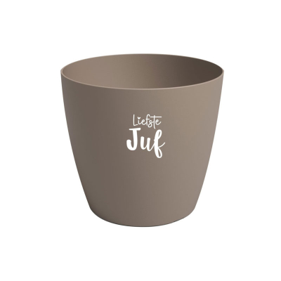 Bloempotje liefste juf