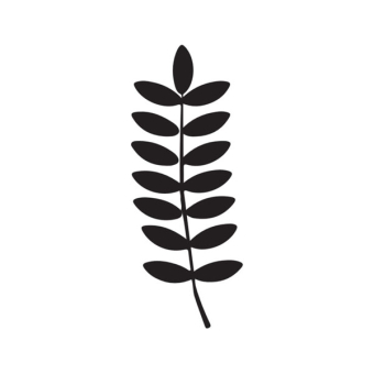 Leaves wit