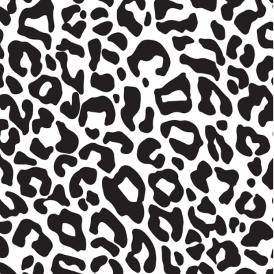 Panter zwart-wit