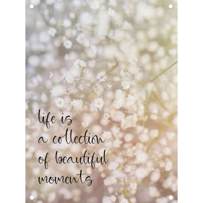 Life is a collection