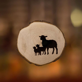 Boomschijf lammetjes